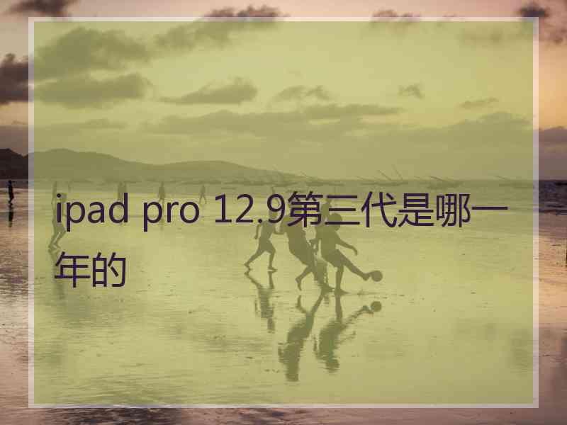 ipad pro 12.9第三代是哪一年的