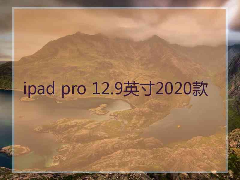 ipad pro 12.9英寸2020款