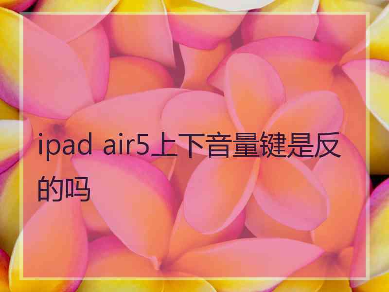 ipad air5上下音量键是反的吗