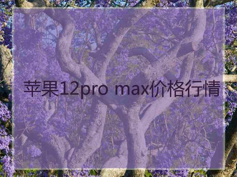 苹果12pro max价格行情