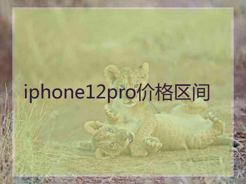 iphone12pro价格区间