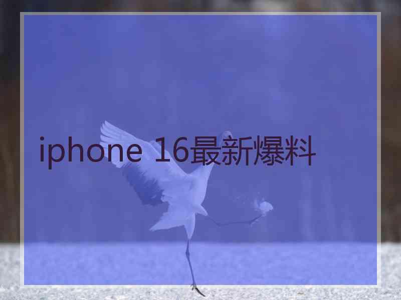 iphone 16最新爆料