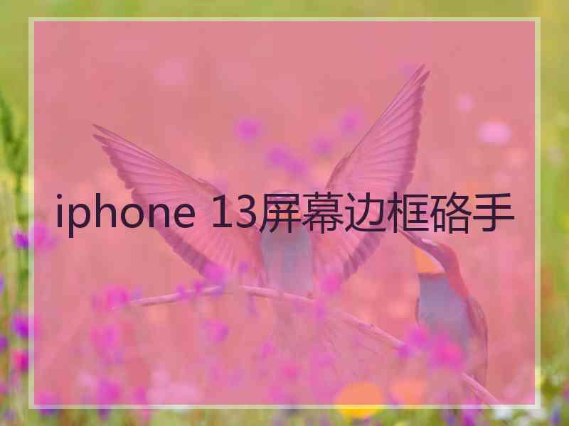 iphone 13屏幕边框硌手