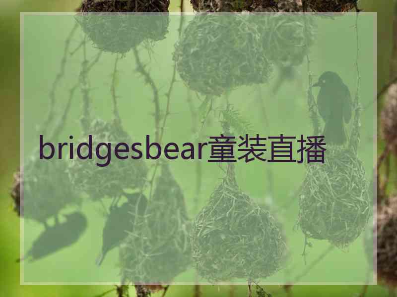 bridgesbear童装直播