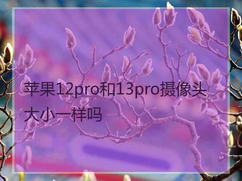 苹果12pro和13pro摄像头大小一样吗