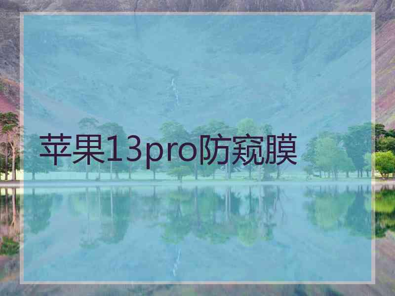 苹果13pro防窥膜