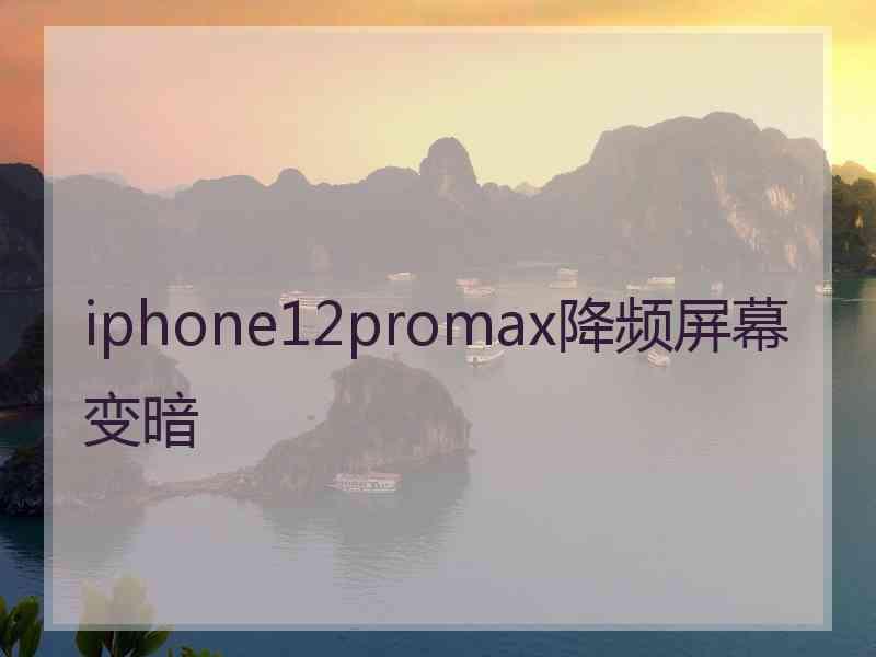 iphone12promax降频屏幕变暗