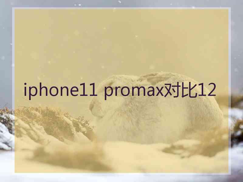 iphone11 promax对比12