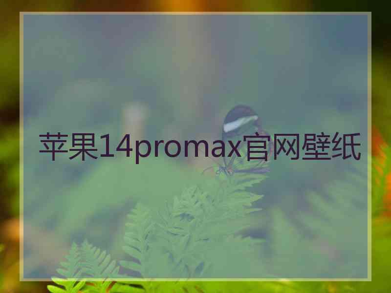 苹果14promax官网壁纸