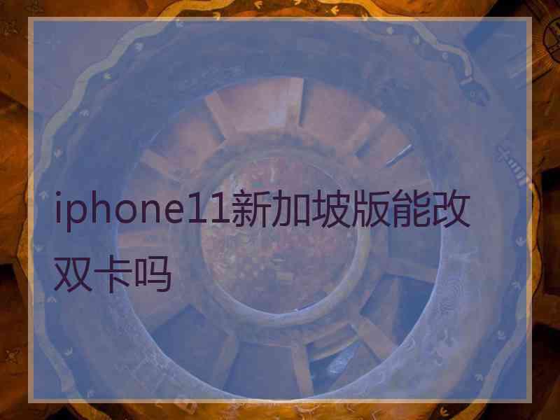 iphone11新加坡版能改双卡吗