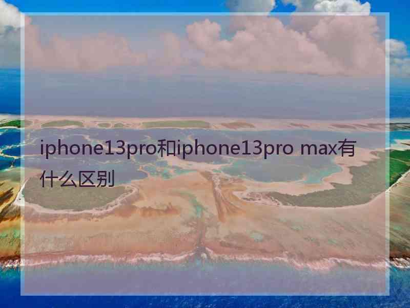 iphone13pro和iphone13pro max有什么区别