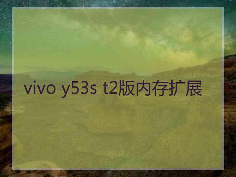 vivo y53s t2版内存扩展