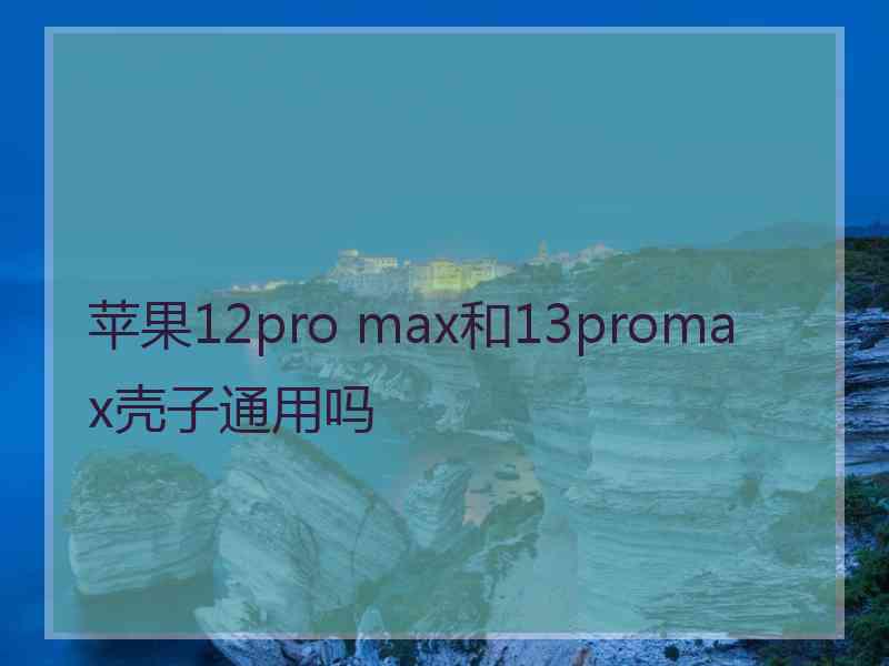 苹果12pro max和13promax壳子通用吗