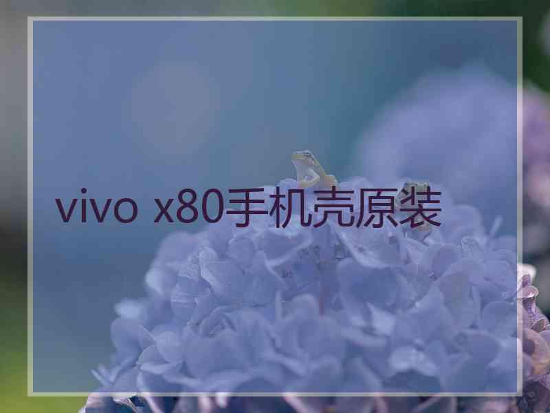 vivo x80手机壳原装