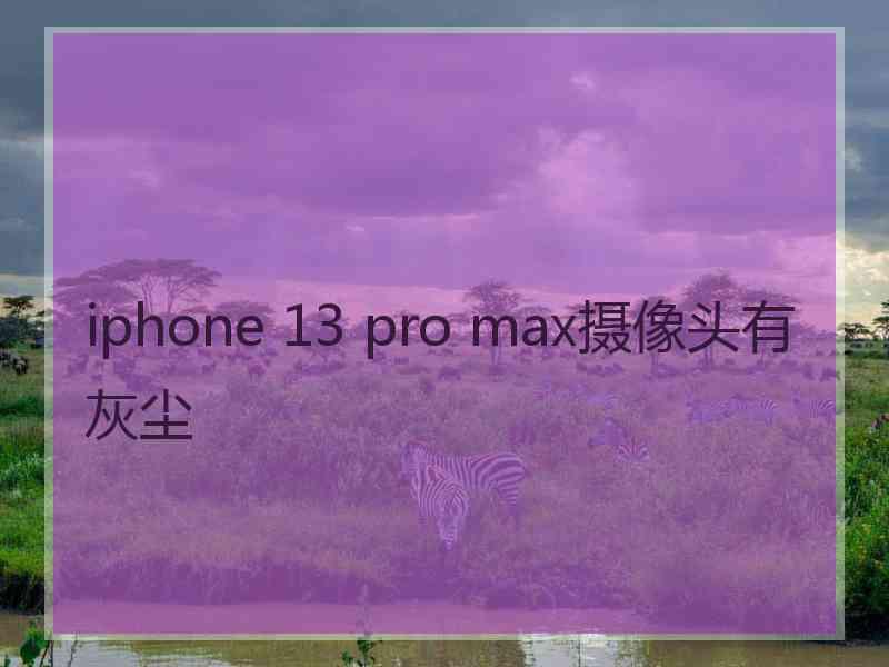 iphone 13 pro max摄像头有灰尘