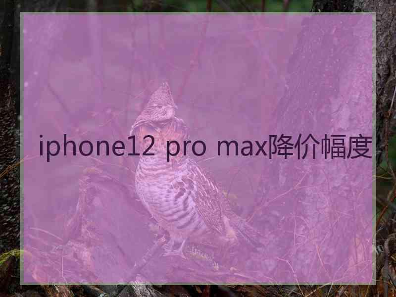 iphone12 pro max降价幅度