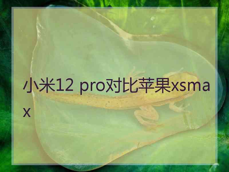 小米12 pro对比苹果xsmax