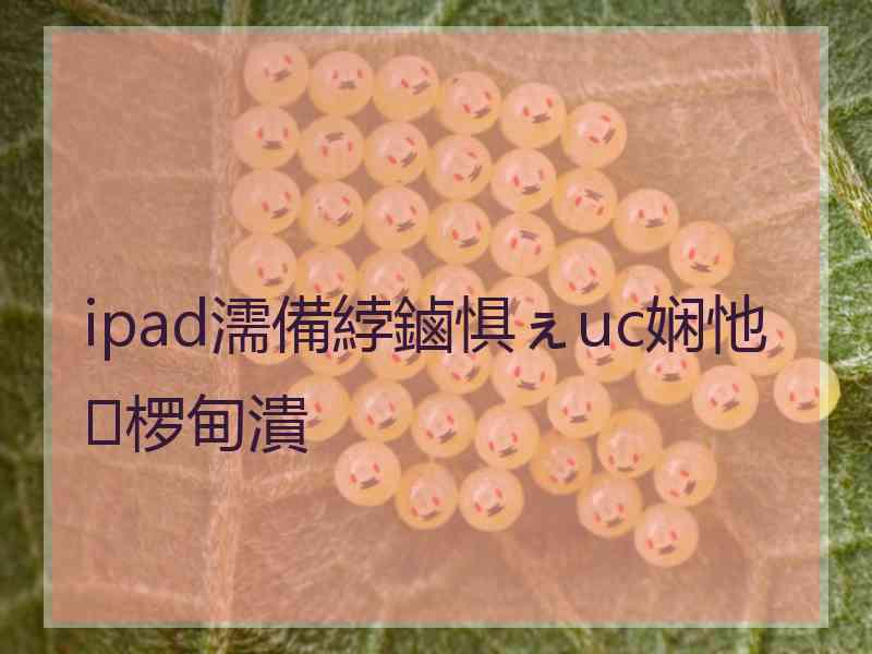 ipad濡備綍鏀惧ぇuc娴忚椤甸潰