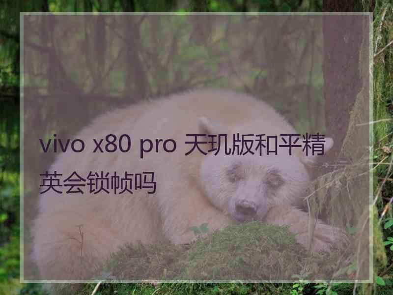 vivo x80 pro 天玑版和平精英会锁帧吗