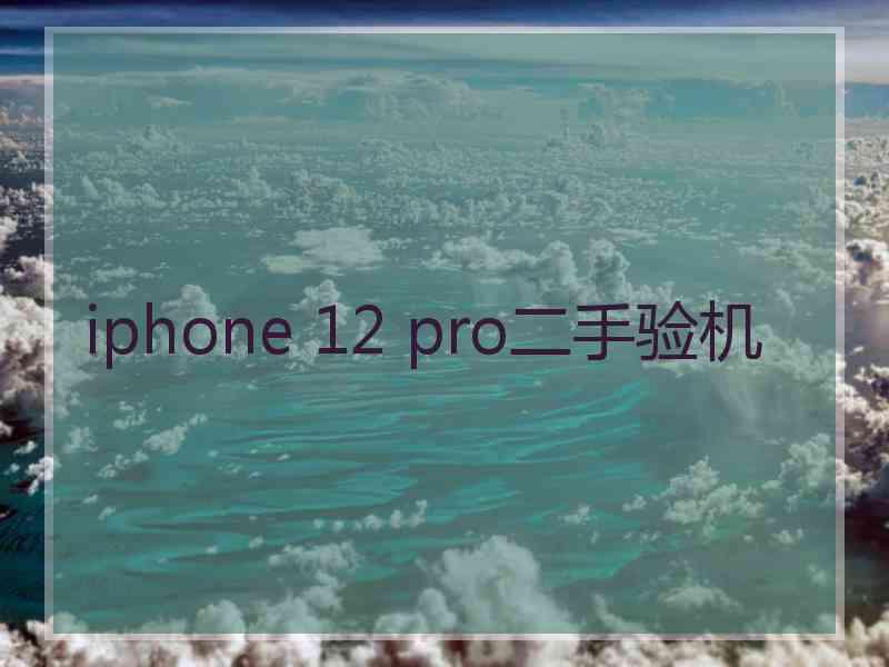 iphone 12 pro二手验机