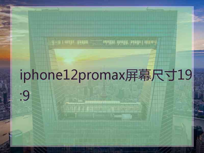 iphone12promax屏幕尺寸19:9