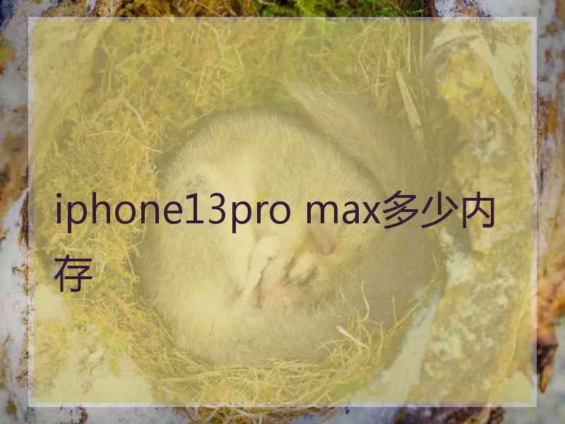 iphone13pro max多少内存