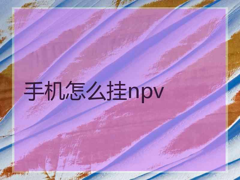 手机怎么挂npv