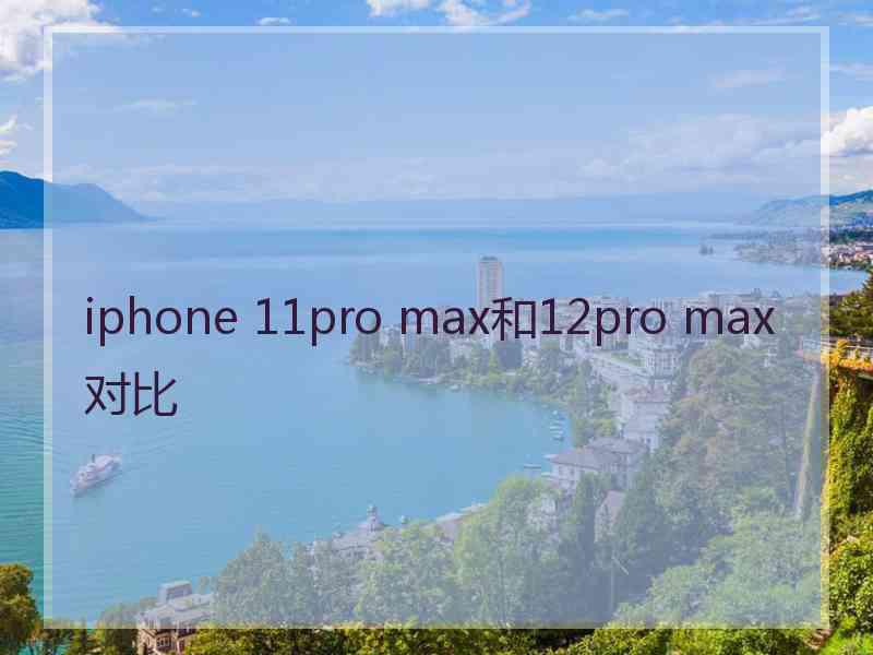 iphone 11pro max和12pro max对比