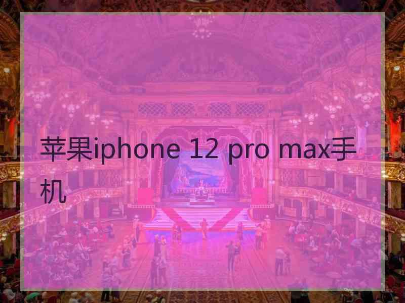 苹果iphone 12 pro max手机