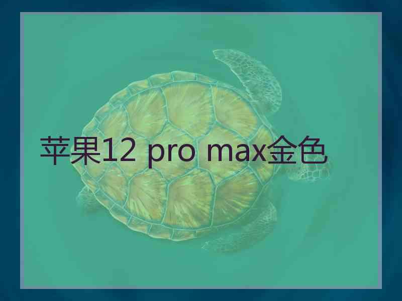 苹果12 pro max金色