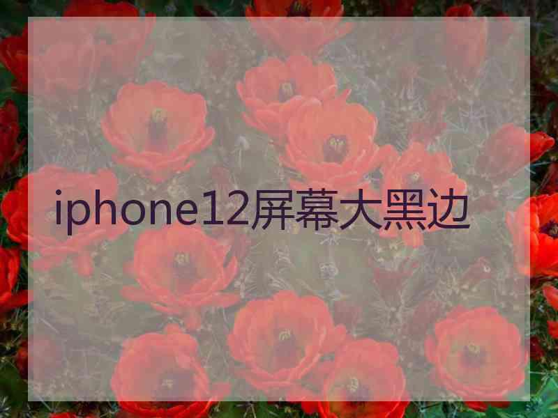 iphone12屏幕大黑边