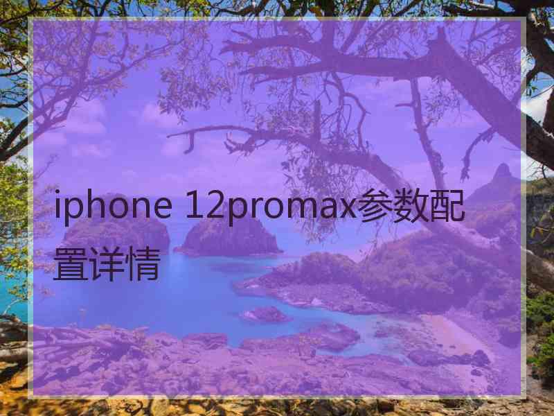 iphone 12promax参数配置详情