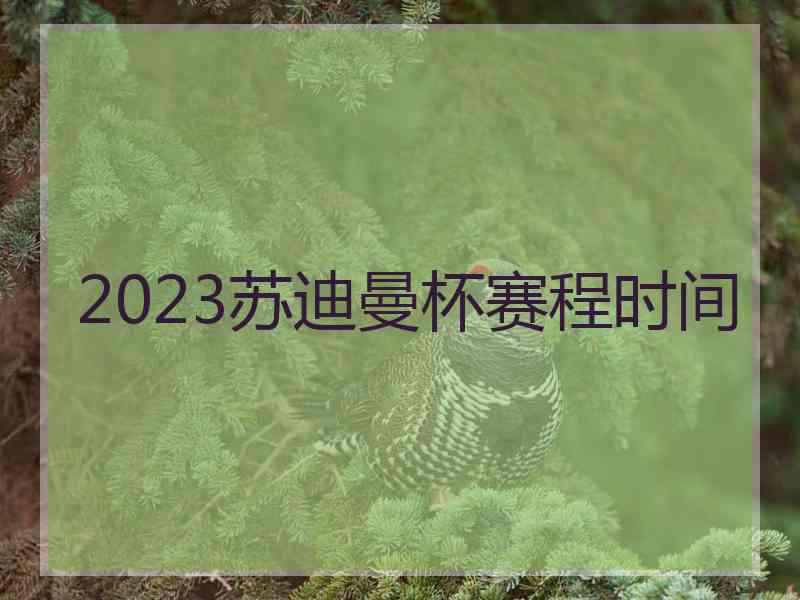 2023苏迪曼杯赛程时间