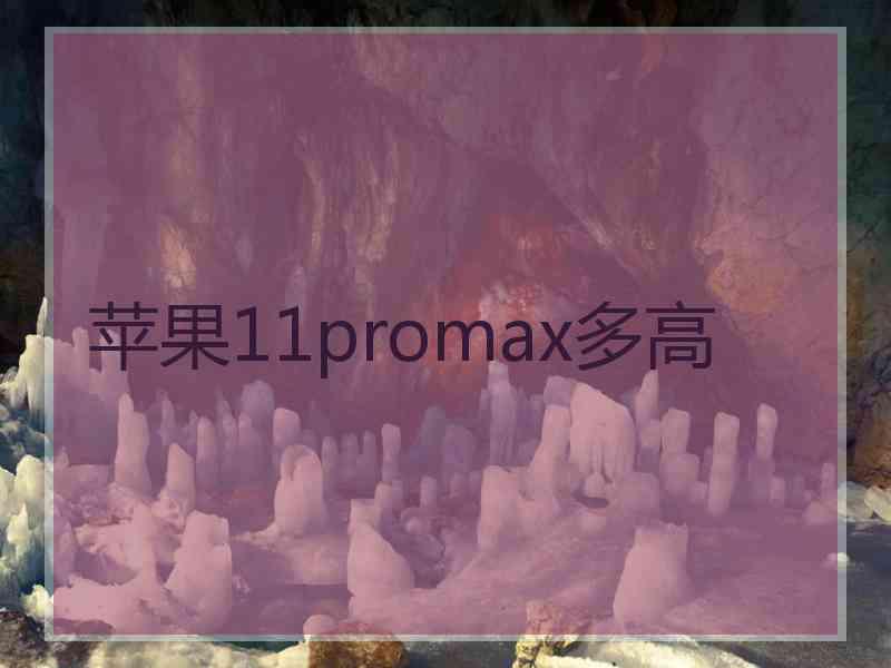 苹果11promax多高