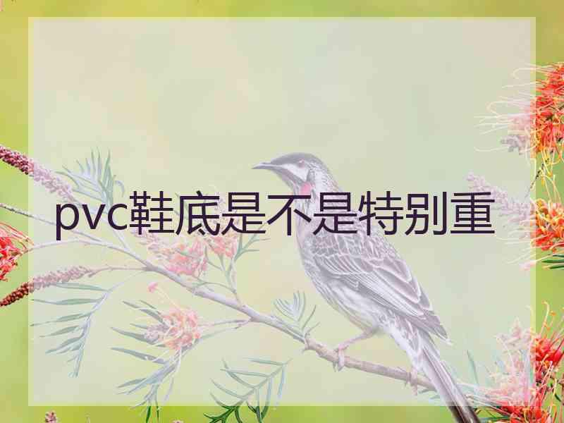 pvc鞋底是不是特别重