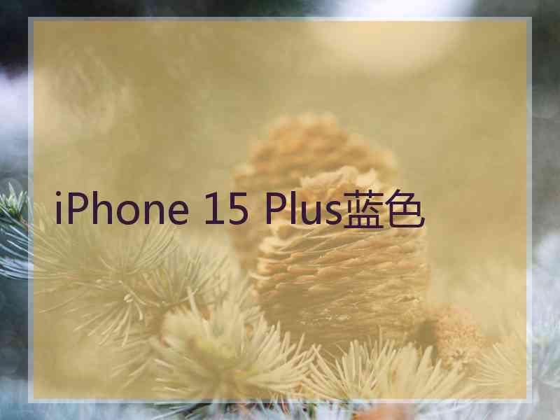 iPhone 15 Plus蓝色