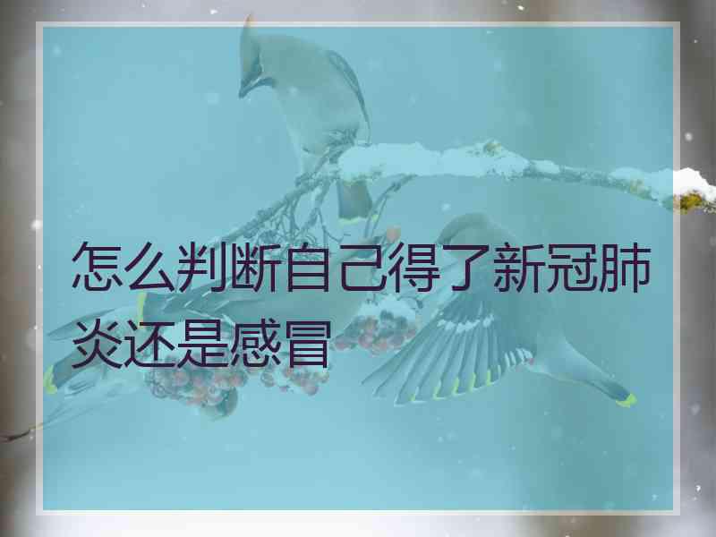 怎么判断自己得了新冠肺炎还是感冒