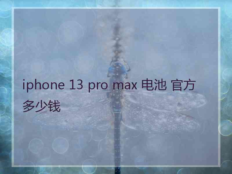 iphone 13 pro max 电池 官方 多少钱