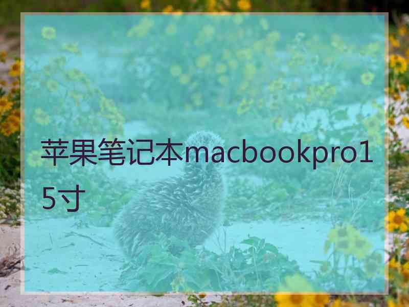 苹果笔记本macbookpro15寸