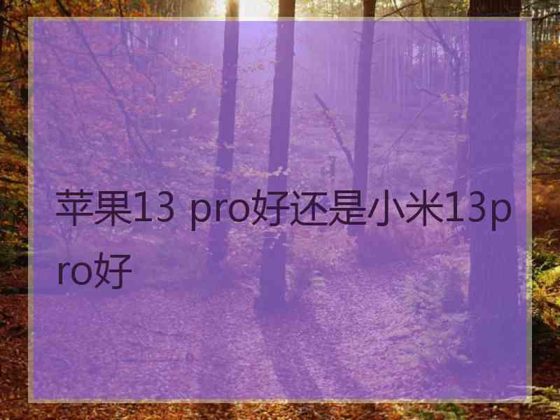 苹果13 pro好还是小米13pro好