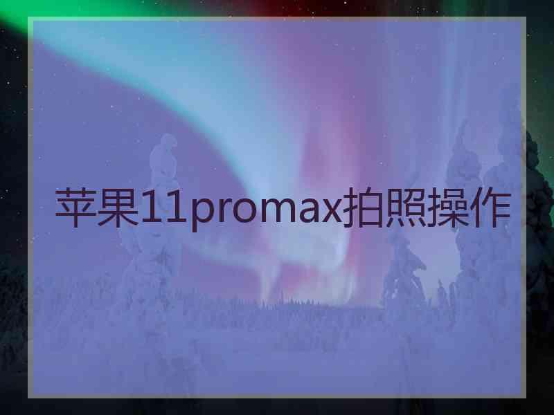 苹果11promax拍照操作