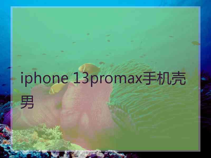 iphone 13promax手机壳男