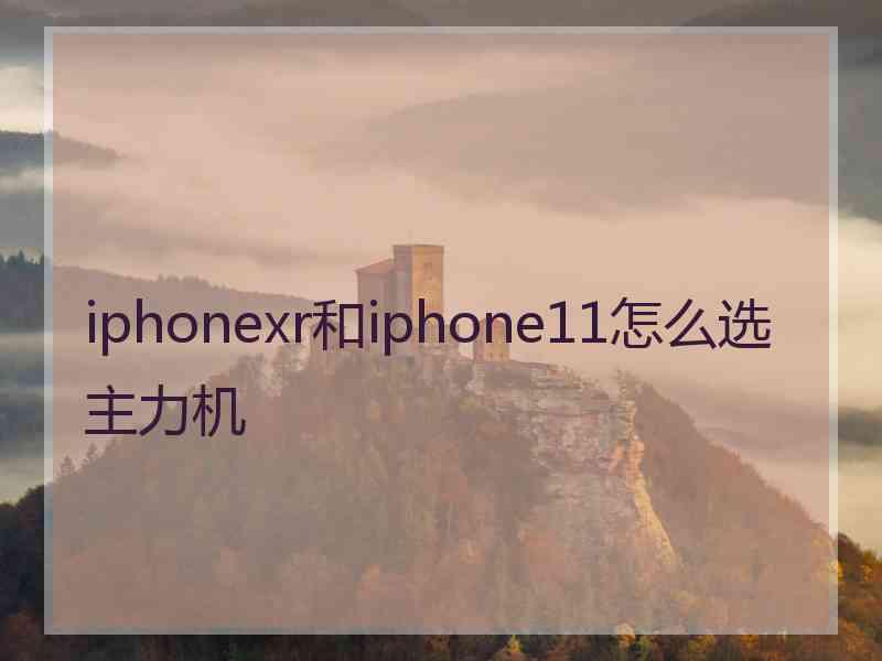 iphonexr和iphone11怎么选主力机