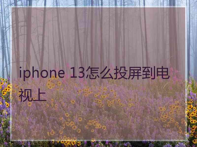 iphone 13怎么投屏到电视上