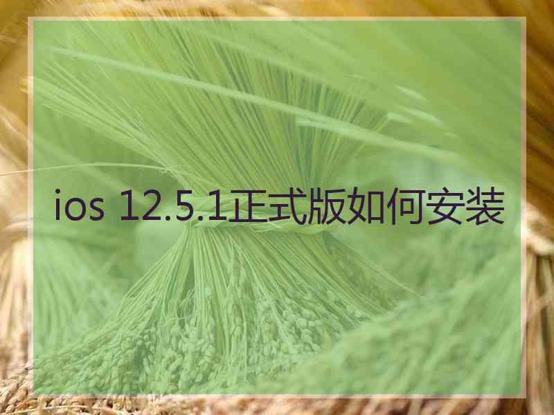 ios 12.5.1正式版如何安装