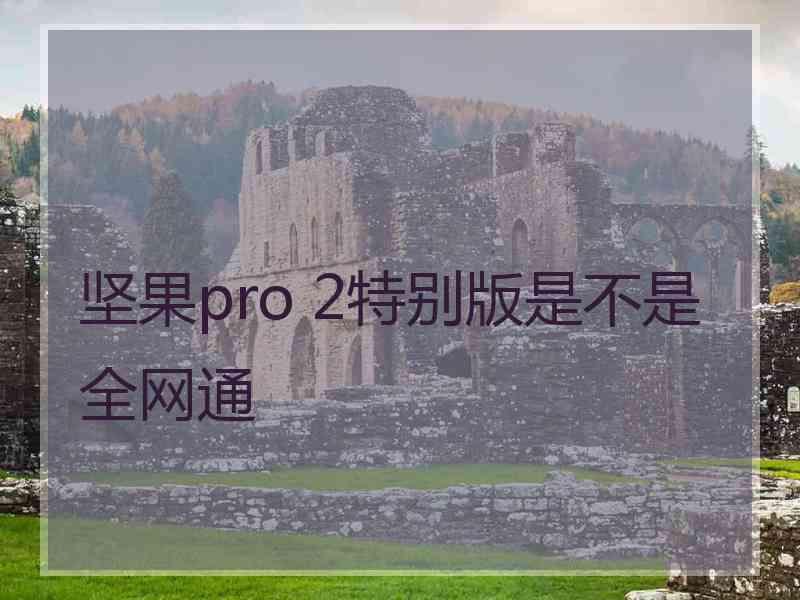 坚果pro 2特别版是不是全网通