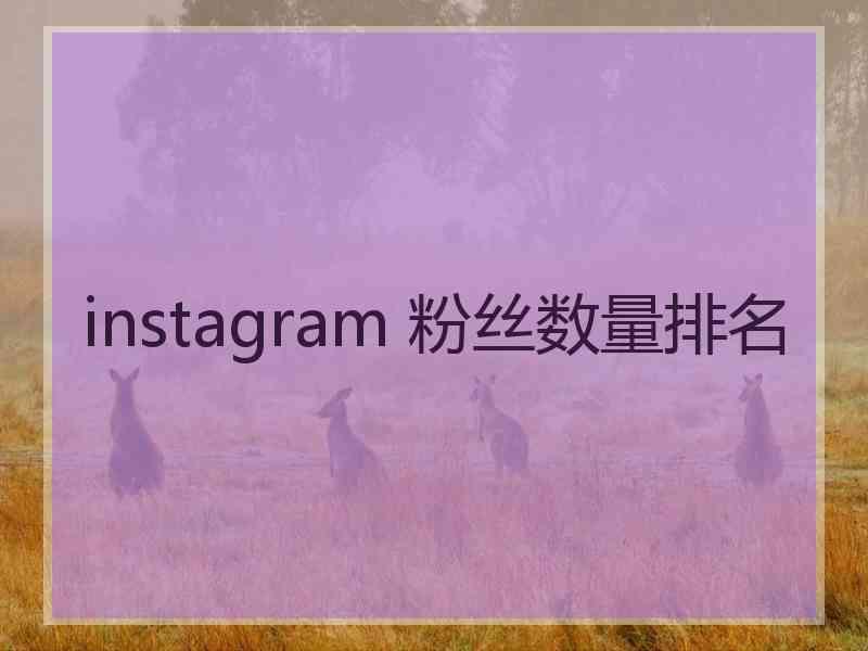 instagram 粉丝数量排名