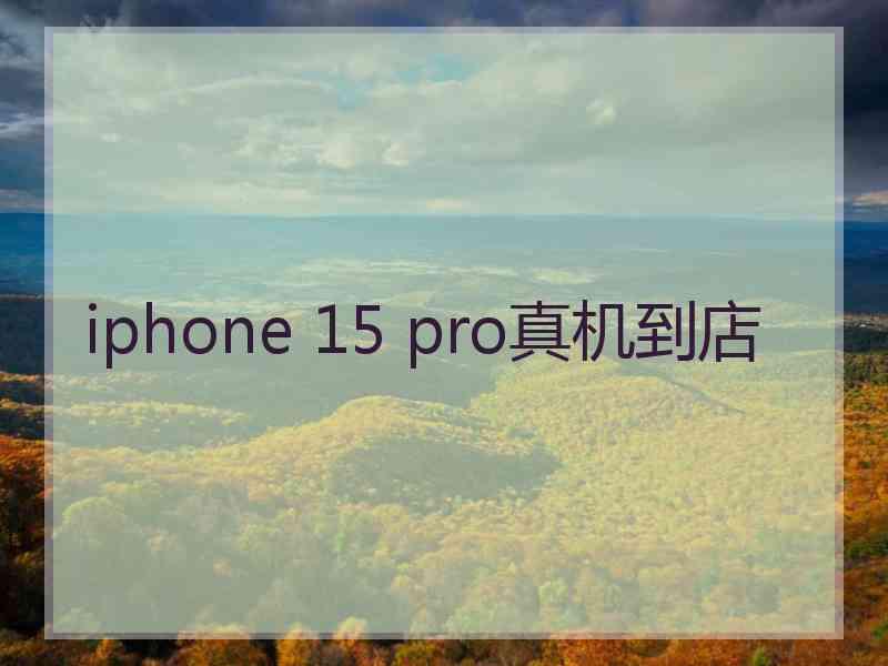 iphone 15 pro真机到店