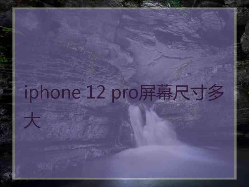 iphone 12 pro屏幕尺寸多大