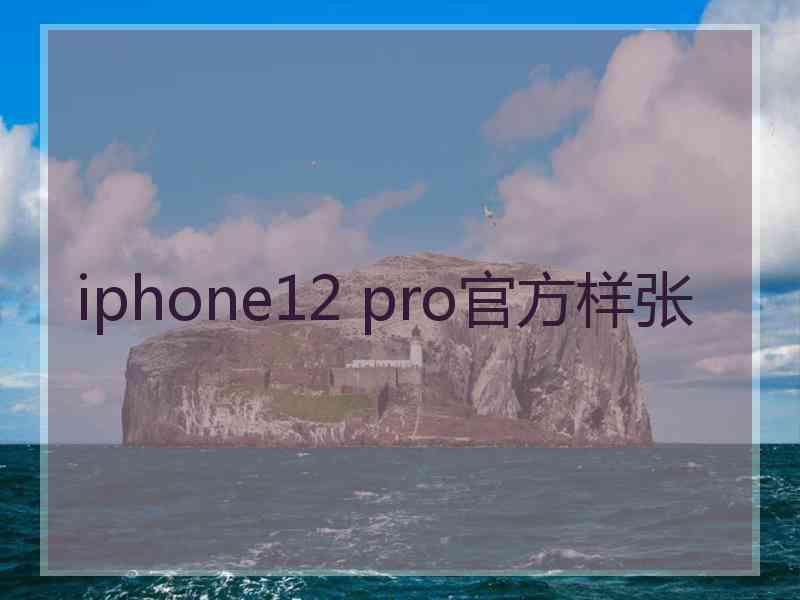 iphone12 pro官方样张